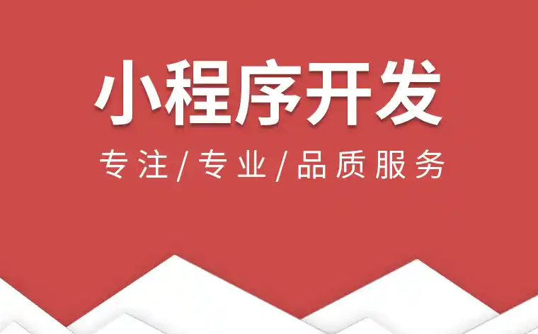 网站建设小程序开发营销软件